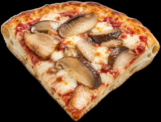 Funghi porcini: illustrative image of the slice